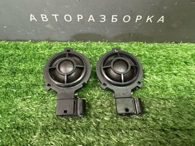 Твиттеры(пищалки) Skoda Octavia 2014 A7