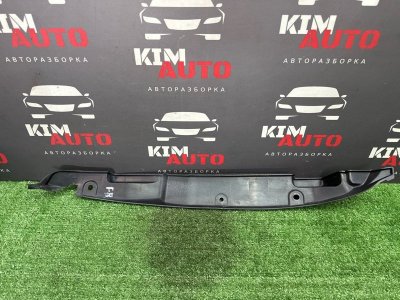 Пыльник крыла Kia Rio 4 2017 FB