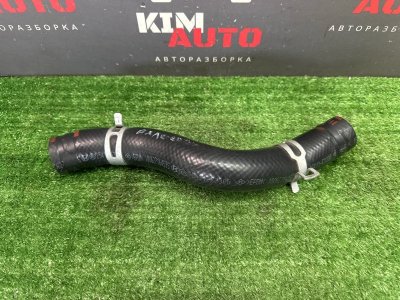 Патрубок радиатора Kia Ceed 3 2018 CD