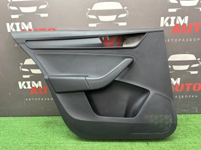 Обшивка двери Skoda Rapid 2 2021 NK6