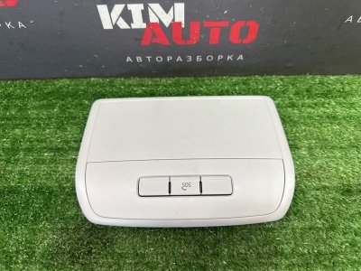 Накладка потолка салона Skoda Rapid 2 2021 NK6