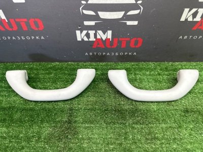 Ручка потолка салона Skoda Rapid 2 2021 NK6