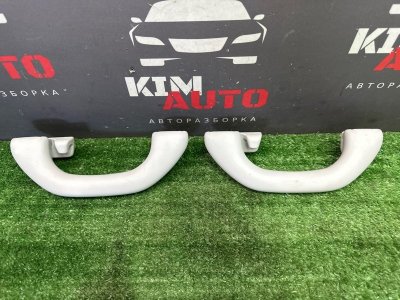 Ручка потолка салона Skoda Rapid 2 2021 NK6
