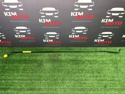 Упор капота Skoda Rapid 2 2021 NK6