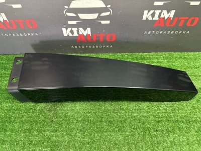 Накладка центральной стойки Skoda Rapid 2 2021 NK6