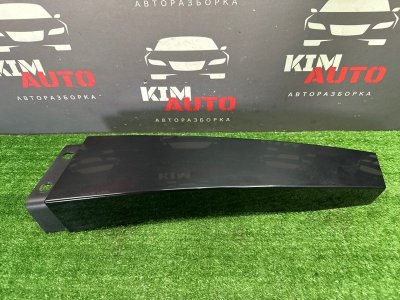 Накладка центральной стойки Skoda Rapid 2 2021 NK6