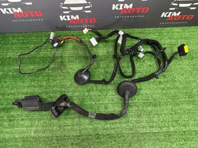 Проводка двери Kia Ceed 3 2018 CD