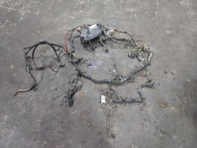 Проводка моторная Ford Focus 2005 1