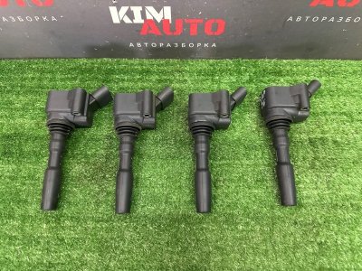 Катушка зажигания Skoda Rapid 2 2021 NK6