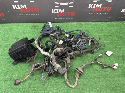 Проводка моторного отсека с блоком предохранителей Kia Cerato 2 2011 TD