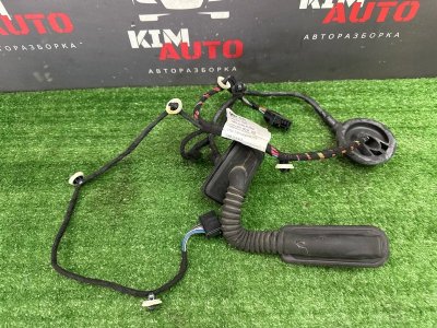 Проводка двери Skoda Rapid 2 2021 NK6