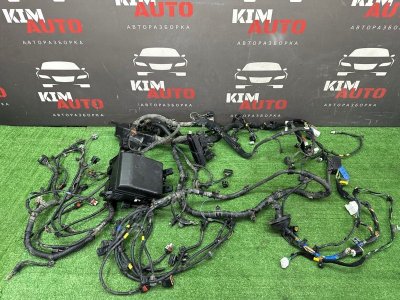 Проводка моторного отсека с блоком предохранителей Kia Sportage 3 2014 SL
