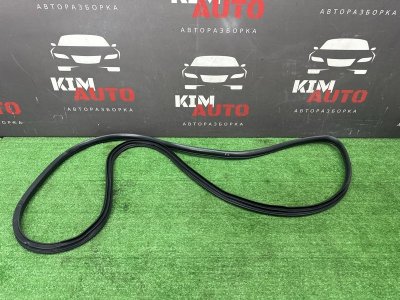 Уплотнитель проема двери Kia Sportage 3 2014 SL