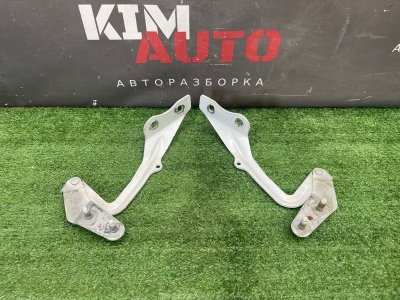 Петли капота Ford Focus 2 2008 CB