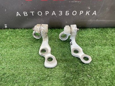 Петли двери Ford Focus 2 2008 CB
