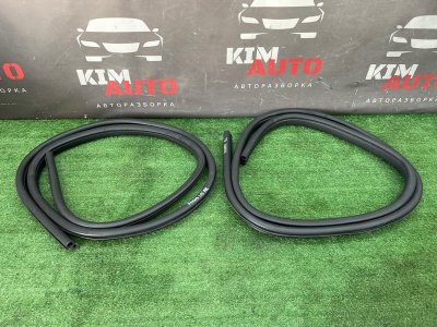 Уплотнитель проема двери Ford Focus 2 2008 CB