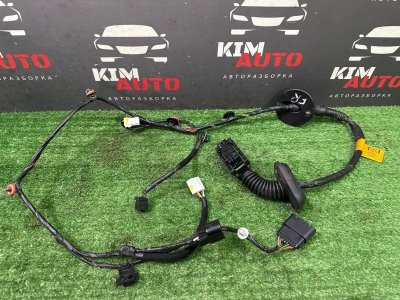 Проводка двери Hyundai Creta 2017 GS