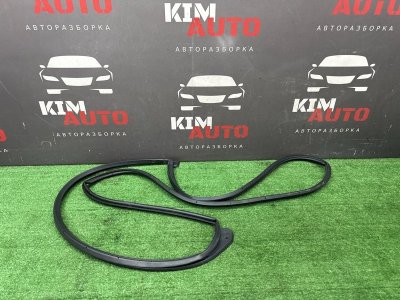 Уплотнитель двери Kia Sportage 3 2014 SL