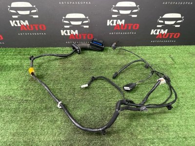 Проводка двери Hyundai Solaris 2 2021 HCR