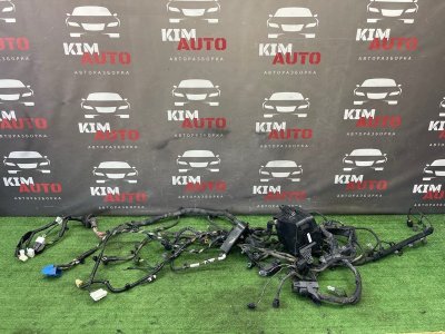 Проводка моторного отсека Kia Ceed 1 2010 ED