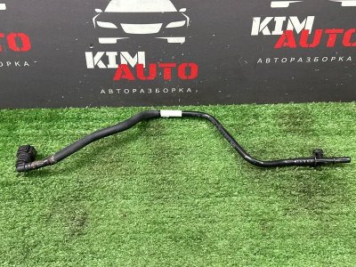 Трубка адсорбера Kia Rio X 2020