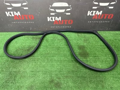 Уплотнитель проема двери Kia Rio X 2020