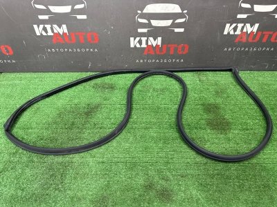 Уплотнитель двери Kia Rio X 2020