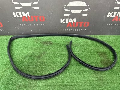Уплотнитель проема двери Kia Cerato 2 2010 TD