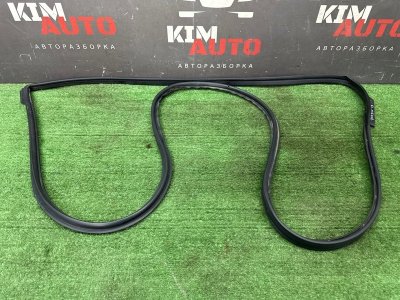 Уплотнитель двери Nissan Murano 2008 Z51