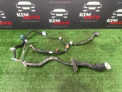 Проводка двери Nissan Murano 2008 Z51