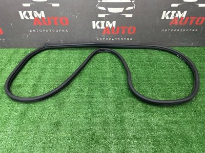 Уплотнитель проема двери Hyundai Solaris 2 2021 HCR