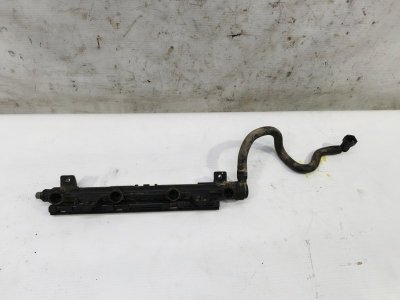 Топливная рампа Skoda Fabia 2008