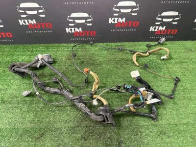 Проводка двери Nissan Murano 2008 Z51