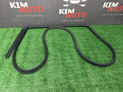 Уплотнитель двери Hyundai Solaris 2 2021 HCR