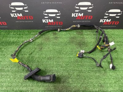 Проводка двери Kia Cerato 2 2010 TD