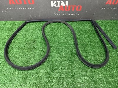 Уплотнитель двери Hyundai Solaris 2 2021 HCR