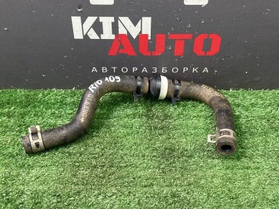 Трубка вакуумная Kia Rio X 2020