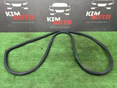 Уплотнитель проема двери Nissan Murano 2008 Z51