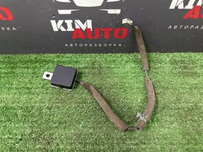 Антенна Nissan Murano 2008 Z51