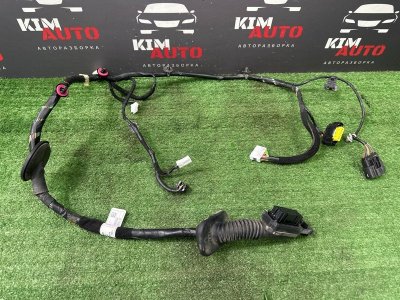 Проводка двери Hyundai Creta 2018 GS