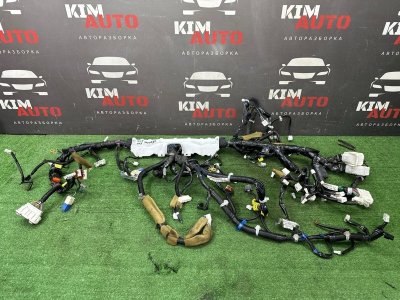 Проводка торпедо Nissan Murano 2008 Z51