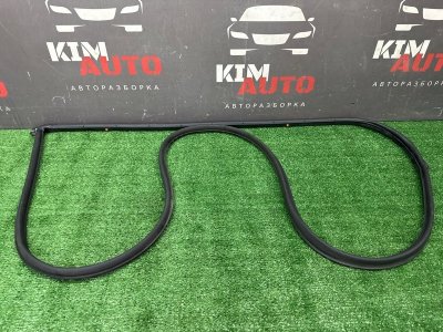 Уплотнитель двери Hyundai Solaris 2 2021 HCR