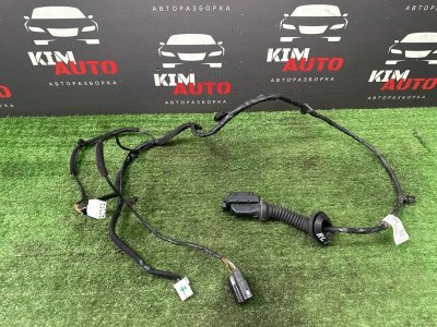 Проводка двери Hyundai Solaris 2 2021 HCR