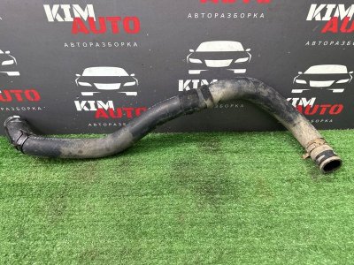 Патрубок радиатора нижний Kia Cerato 2 2010 TD