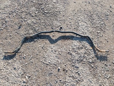 Стабилизатор Volkswagen Transporter T4