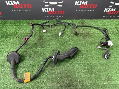 Проводка двери Hyundai Creta 2018 GS