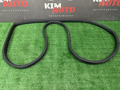 Уплотнитель проема двери Hyundai Solaris 2 2021 HCR