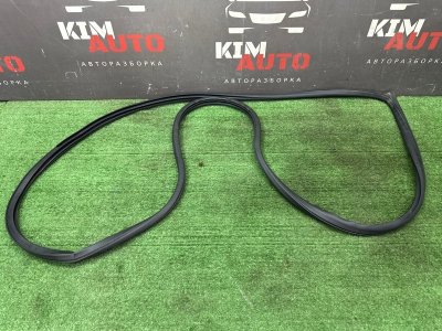 Уплотнитель проема двери Nissan Murano 2008 Z51