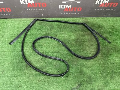 Уплотнитель двери Nissan Murano 2008 Z51