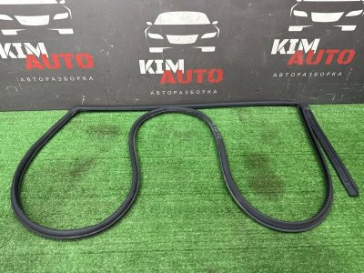 Уплотнитель двери Kia Rio X 2020